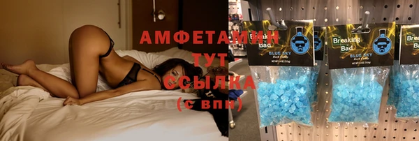 PSILOCYBIN Верея