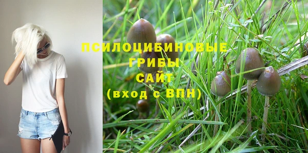 PSILOCYBIN Верея