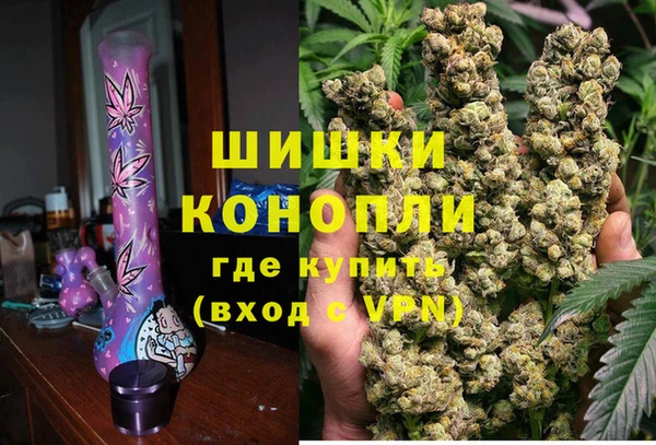 PSILOCYBIN Верея