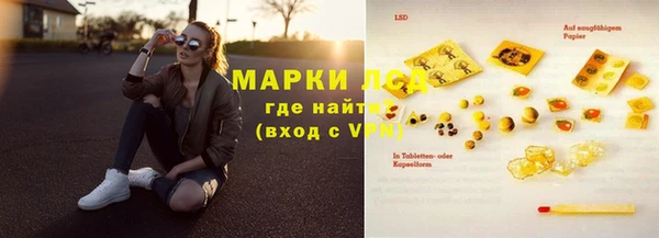 PSILOCYBIN Верея