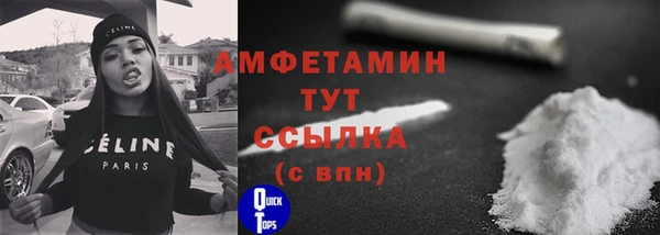 PSILOCYBIN Верея