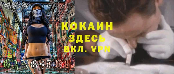 эйфоретик Бородино